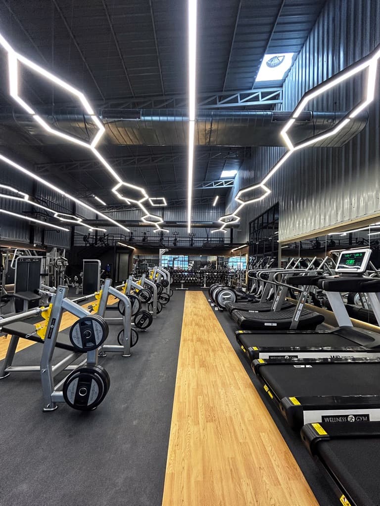Treadmills and cardio equipment under hexagon lighting at FOMO Training